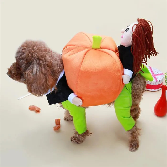 Dog & Cat Pumpkin Halloween Costume