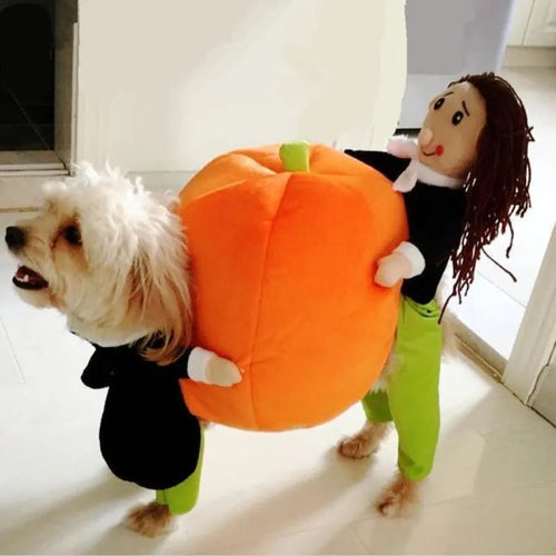 Dog & Cat Pumpkin Halloween Costume